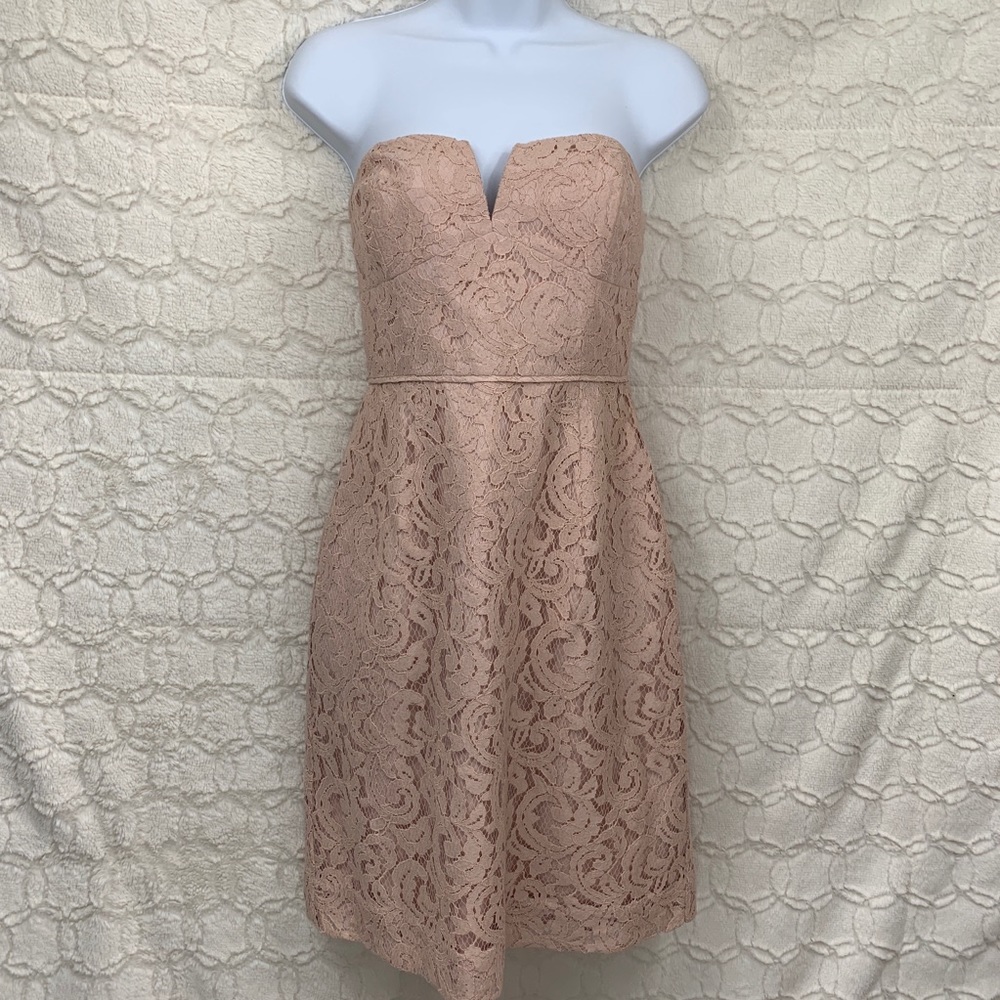 J.Crew Cathleen Dress in Leavers Lace